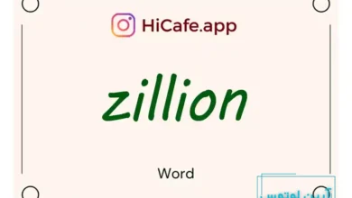 Meaning and usage of zillion word