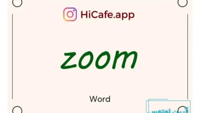 Meaning and usage of zoom word