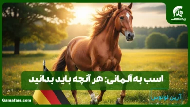 اسب به آلمانی