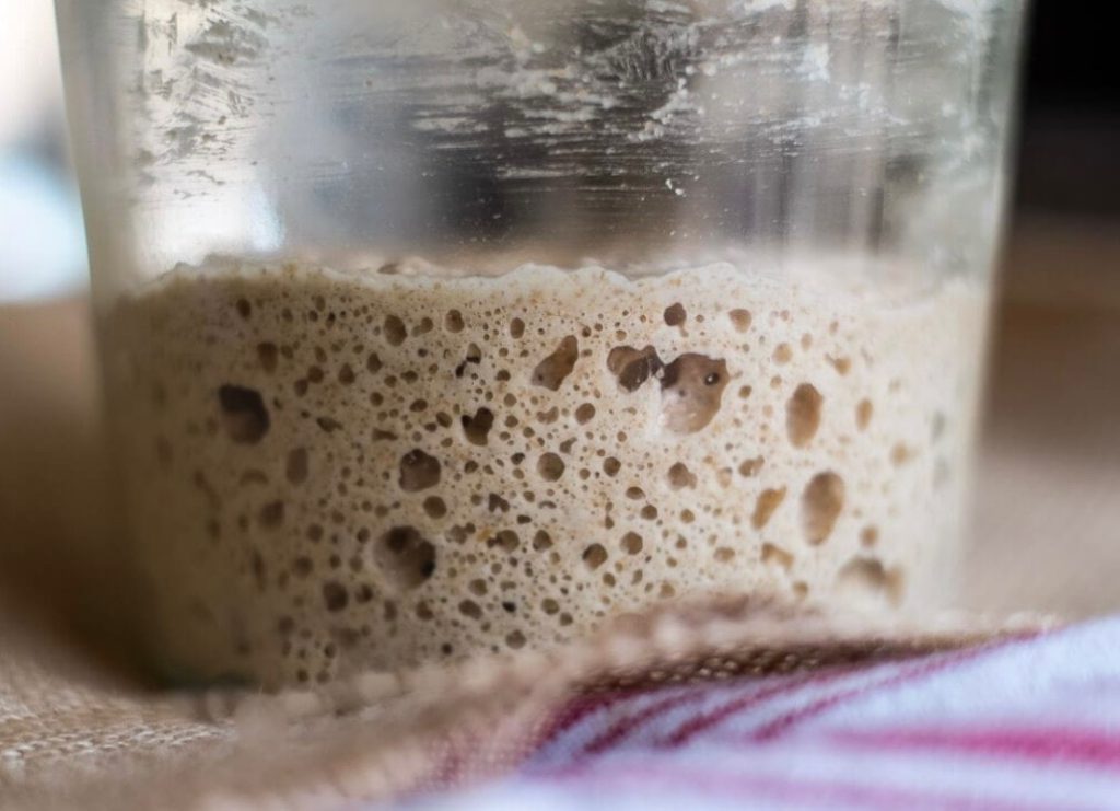 مواد لازم برای طرز تهیه خمیرترش