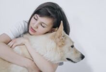 نحوه مراقبت کردن از سگ