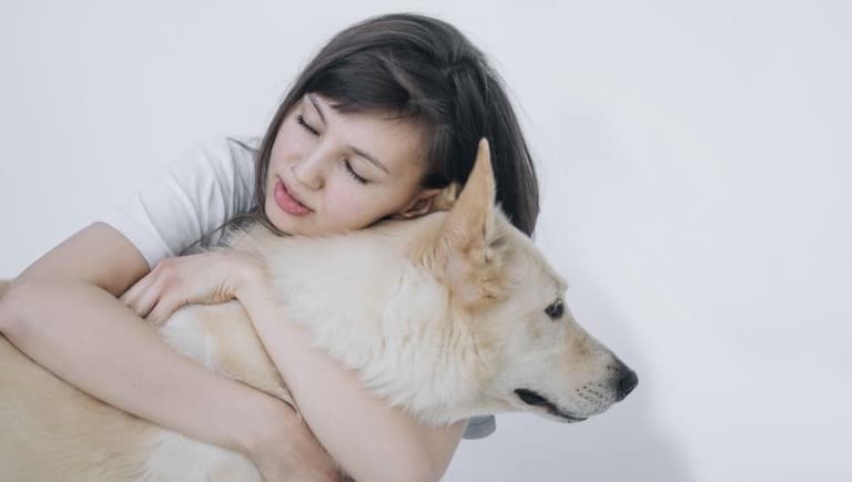 نحوه مراقبت کردن از سگ