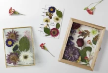 با گل خشک چی درست کنیم