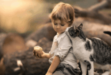 پت خانگی چیست؟ همه چیز در مورد پت خانگی و مزایای نگهداری از پت