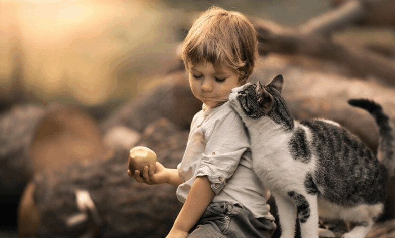 پت خانگی چیست؟ همه چیز در مورد پت خانگی و مزایای نگهداری از پت