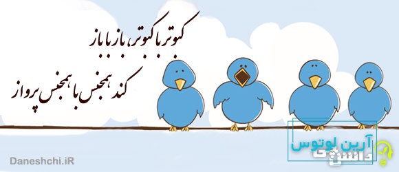 کبوتر با کبوتر باز با باز، کند هم جنس با هم جنس پرواز