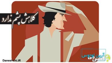 كلاهش پشم ندارد یعنی چه؟