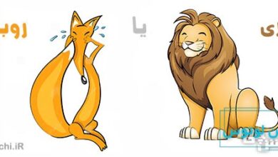 معنی ضرب المثل شیری یا روباه