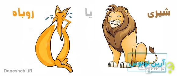 معنی ضرب المثل شیری یا روباه