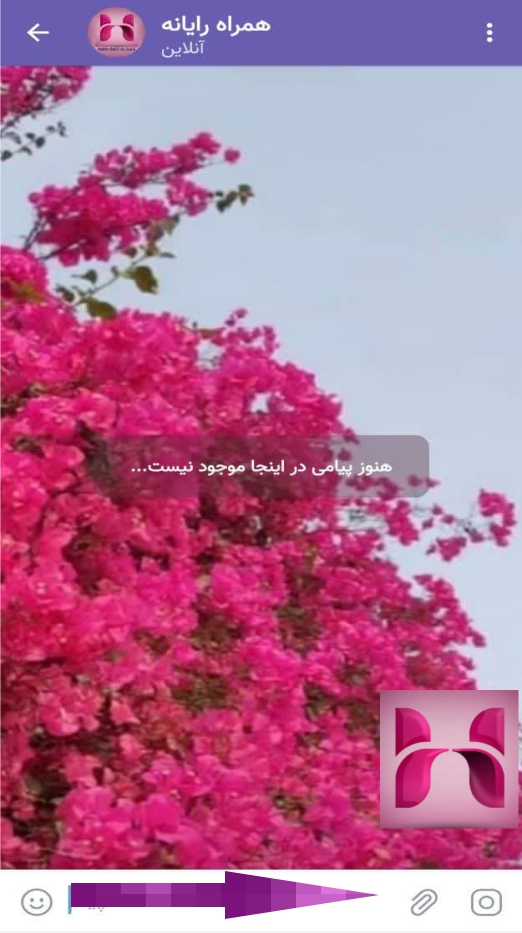 اموزش پخش زنده ایتا