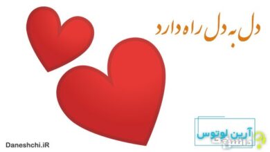 معنی دل به دل راه دارد