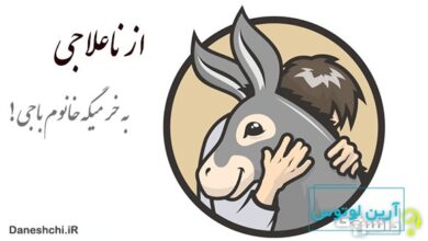 از ناعلاجی به خر میگه خانوم باجی