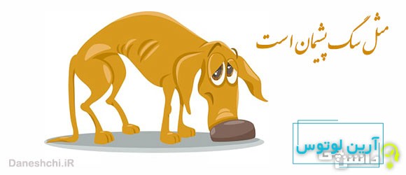 مثل سگ پشیمان است