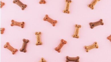 معرفی برند غذای مونلو سگ و گربه