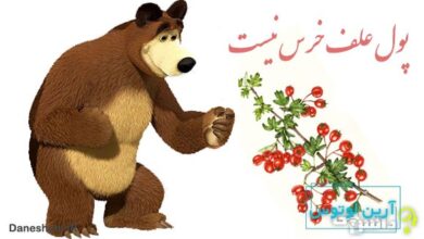 ضرب المثل پول علف خرس نیست