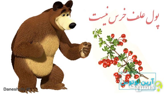 ضرب المثل پول علف خرس نیست