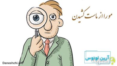 ضرب المثل مو را از ماست کشیدن