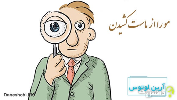 ضرب المثل مو را از ماست کشیدن