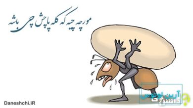 معنی مورچه چیه که کله پاچش چی باشه