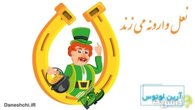 ضرب المثل نعل وارونه می زند