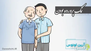 معنی ضرب المثل ” نمک پرورده بودن “