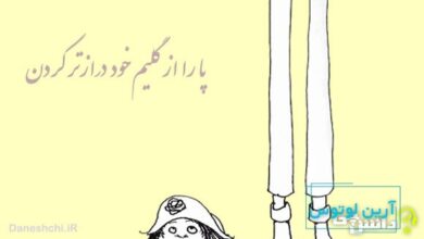 ضرب المثل پا را از گلیم خود درازتر کردن
