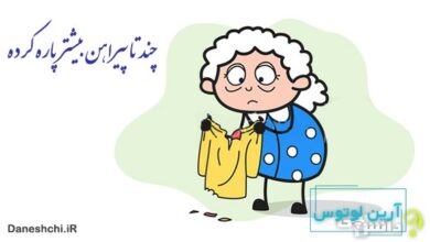 ضرب المثل چند تا پیراهن بیشتر پاره کرده