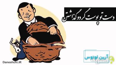 دست تو پوست گردو گذاشتن