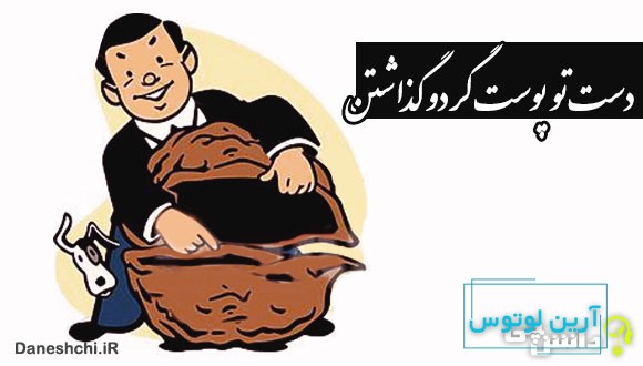 دست تو پوست گردو گذاشتن