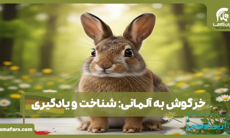 خرگوش به آلمانی