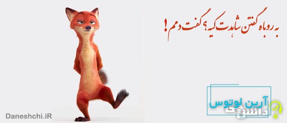 معنی ضرب المثل به روباه گفتند شاهدت کیه؟ گفت: دمم