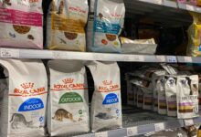 بهترین غذای گربه خارجی