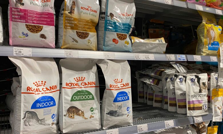 بهترین غذای گربه خارجی