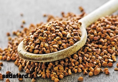 خواص گندم سیاه