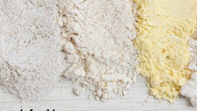 صدف آرد بهترین آرد