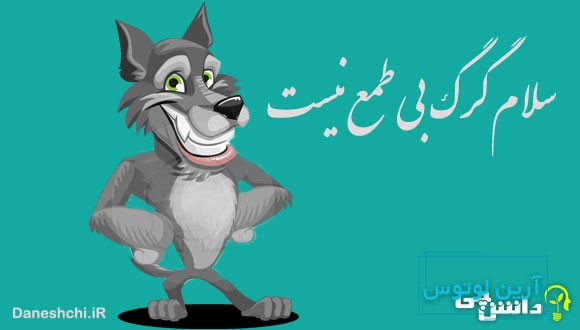معنی ضرب المثل سلام گرگ بی طمع نیست