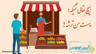 ضرب المثل هیچ بقالی نمیگه ماستم ترشه