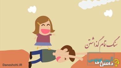 معنی سنگ تمام گذاشتن