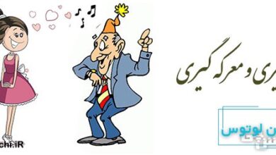 سر پیری و معرکه گیری