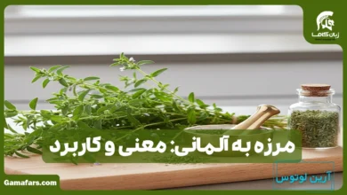 مرزه به آلمانی