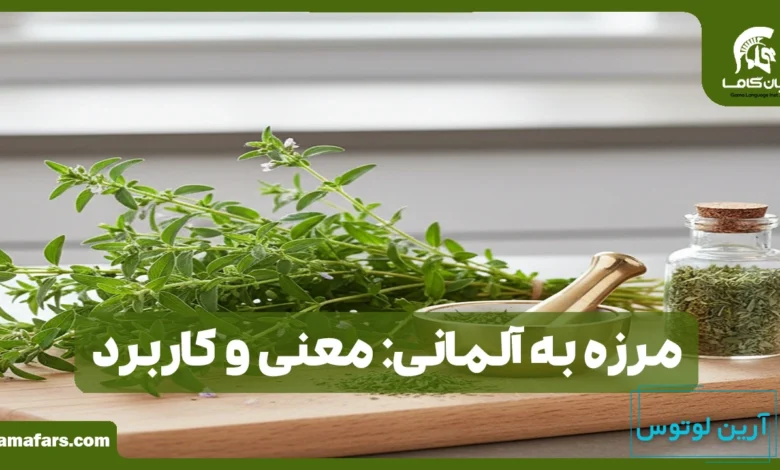 مرزه به آلمانی
