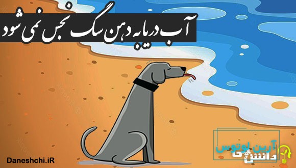 آب دریا به دهن سگ نجس نمی‌ شود