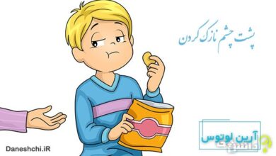معنی پشت چشم نازک کردن