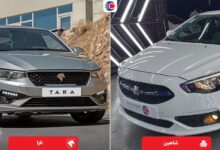 مقایسه تارا و شاهین
