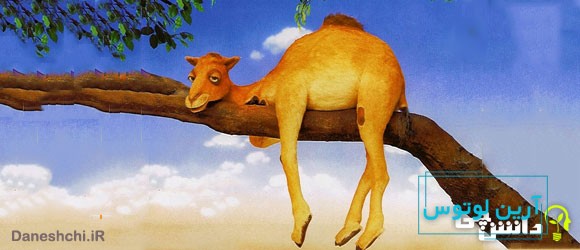 معنی ضرب المثل شتر در خواب بیند پنبه دانه