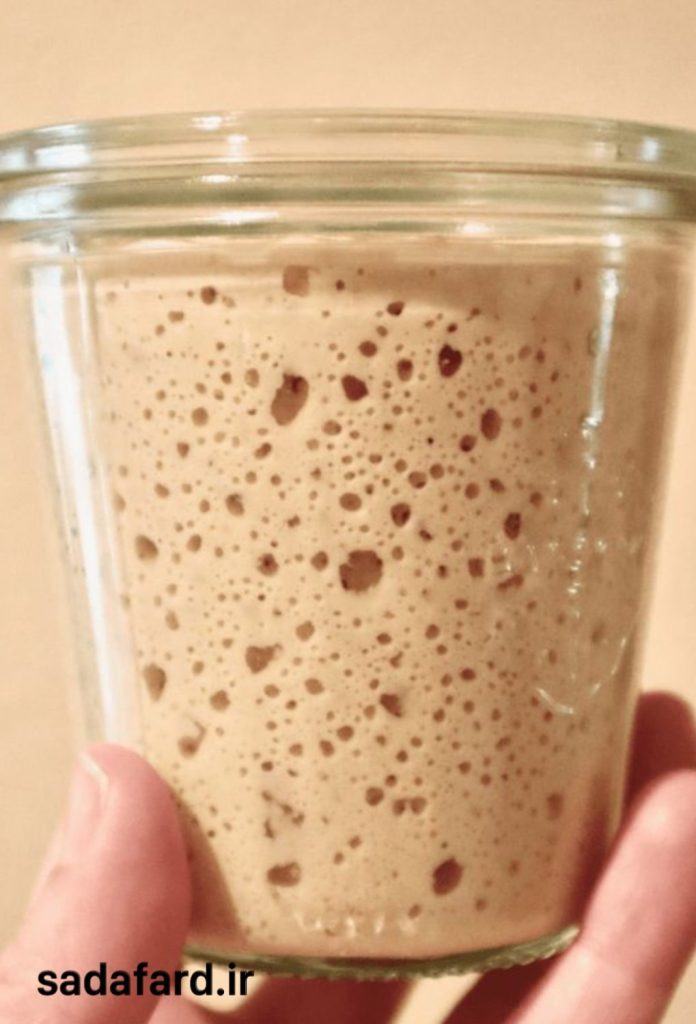 راه حل هایی برای جلوگیری از خراب شدن خمیر ترش