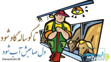 معنی ضرب المثل تا گوساله گاو شود