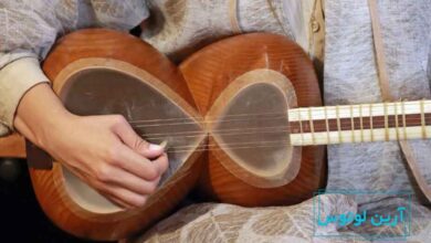 نکات نگهداری از تار