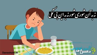 نه به آن شوری شور نه به این بی نمکی