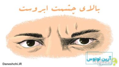 معنی بالای چشمت ابروست